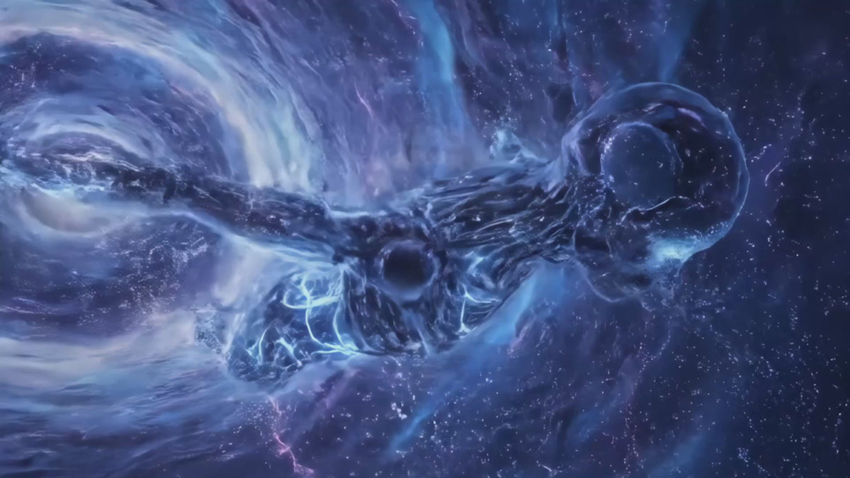 NOEMA Festival & Club Visual