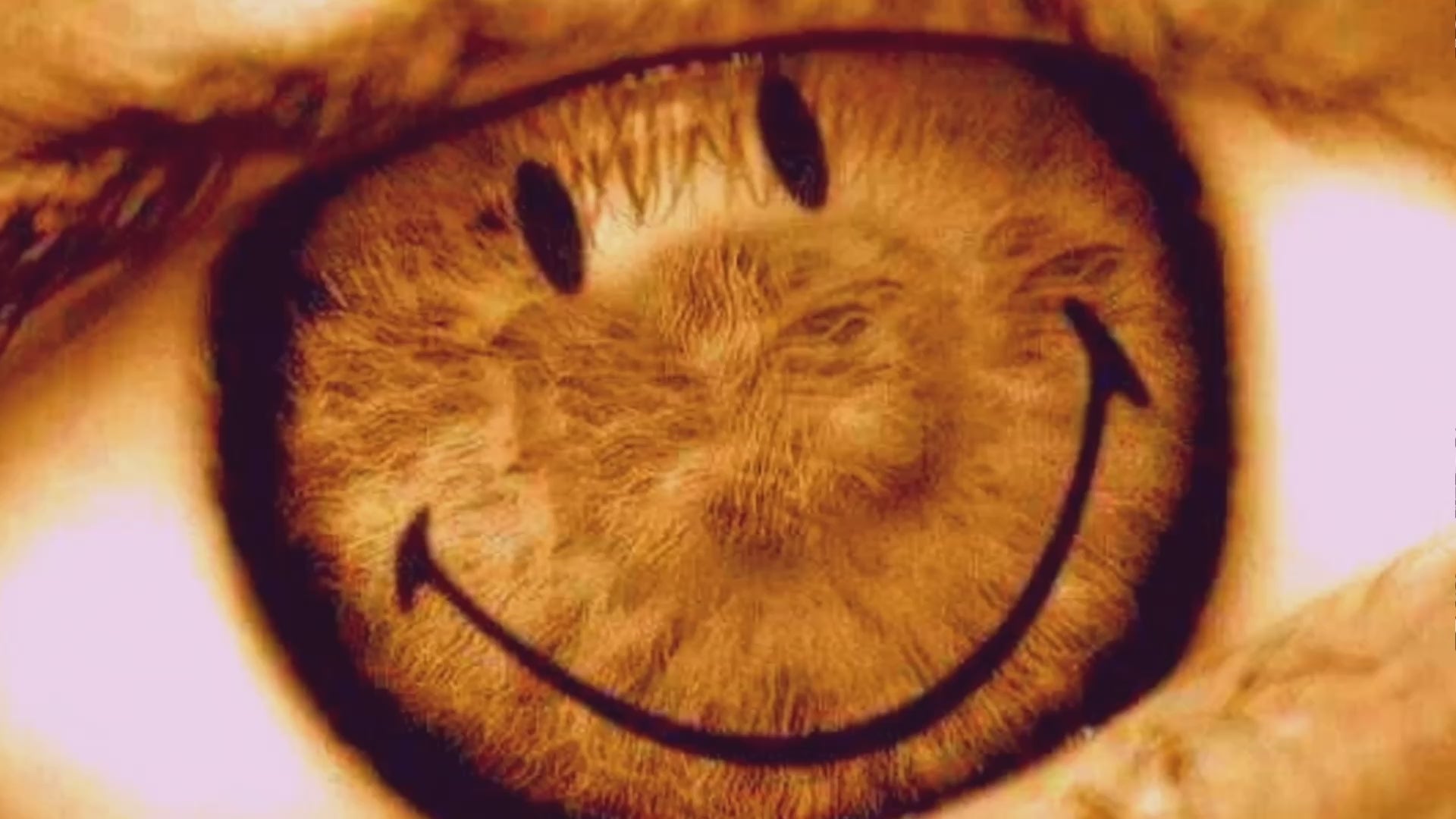 Super Acid Smiley Part 1 - DJ, Club & Festival Visuals
